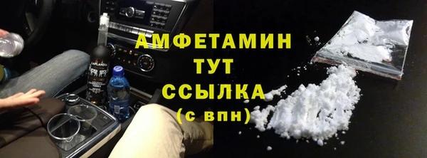 шишки Мегион