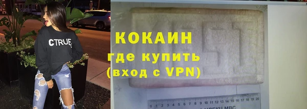 шишки Мегион
