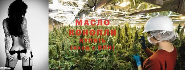 шишки Мегион