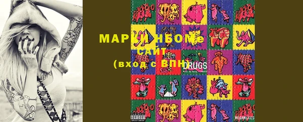 шишки Мегион