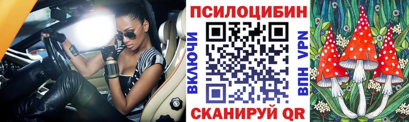 Галлюциногенные грибы Psilocybine cubensis Таганрог